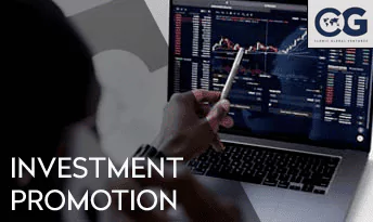 Investment Promotion